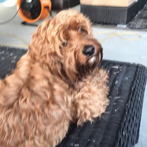 Meet your Posher, Heather